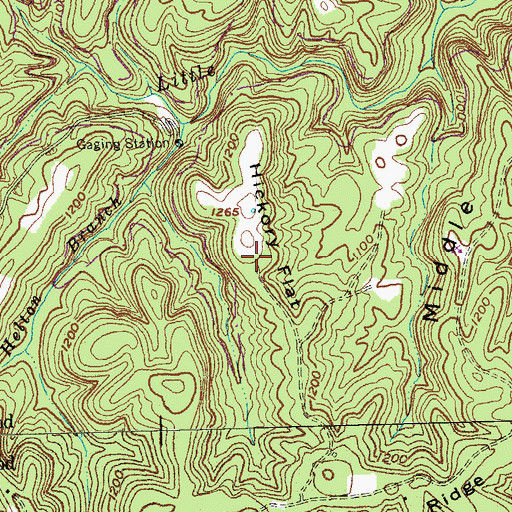 Topographic Map of Hickory Flat, KY