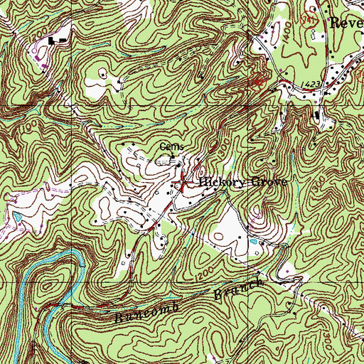 Topographic Map of Hickory Grove, KY
