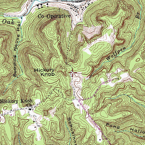 Topographic Map of Hickory Knob, KY