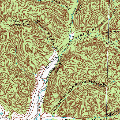 Topographic Map of Hickory Lick Branch, KY