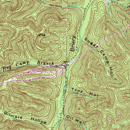 Topographic Map of Hog Camp Branch, KY