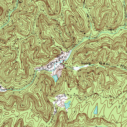 Topographic Map of Hog Gap Hollow, KY
