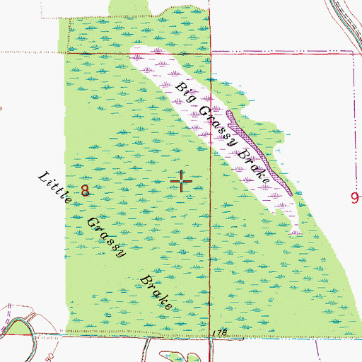 Topographic Map of Little Grassy Brake, AR