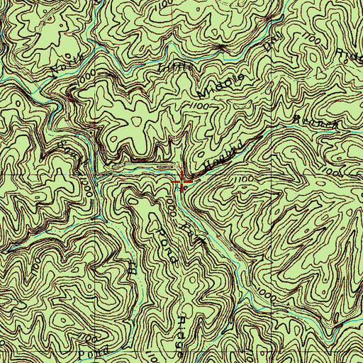 Topographic Map of Hogbed Branch, KY