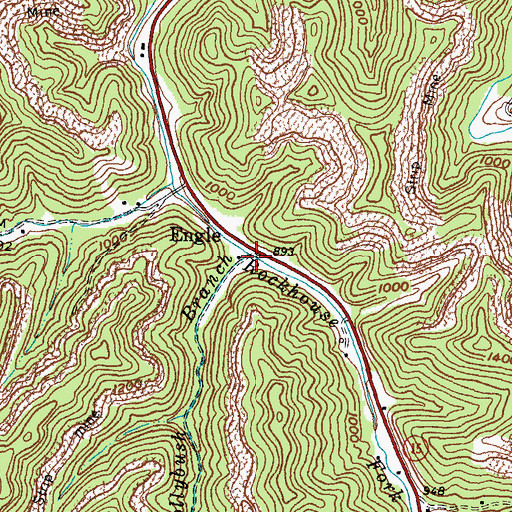 Topographic Map of Hollybush Branch, KY