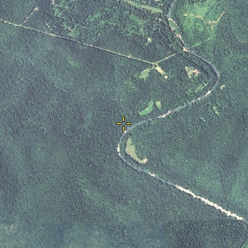 Aerial/Satellite Image of Holmes Branch, KY