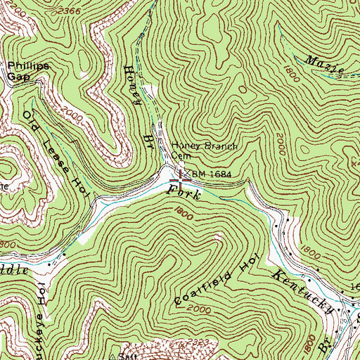 Topographic Map of Honey Branch, KY