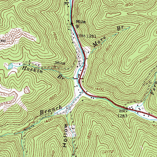 Topographic Map of Hoskin Branch, KY