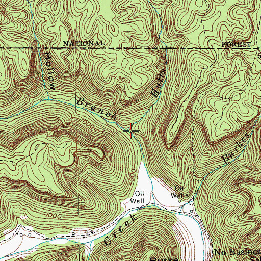 Topographic Map of Hutts Branch, KY
