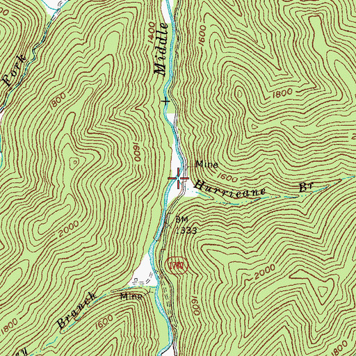 Topographic Map of Hurricane Branch, KY