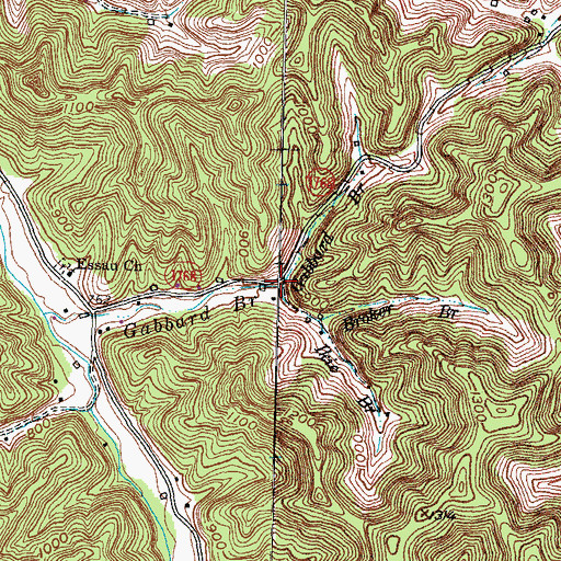 Topographic Map of Ikie Branch, KY
