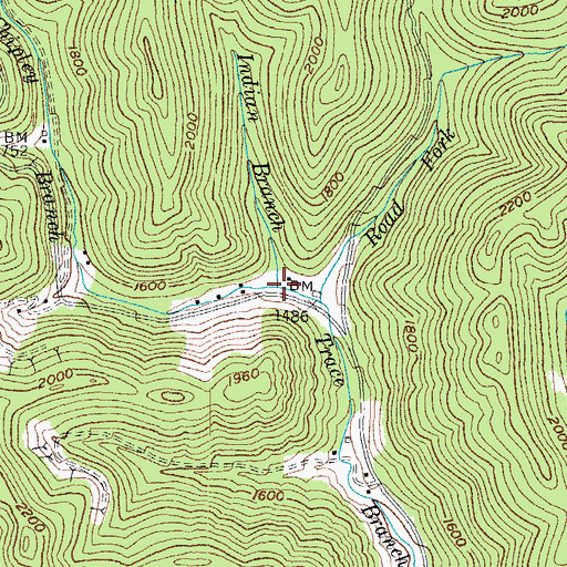 Topographic Map of Indian Branch, KY