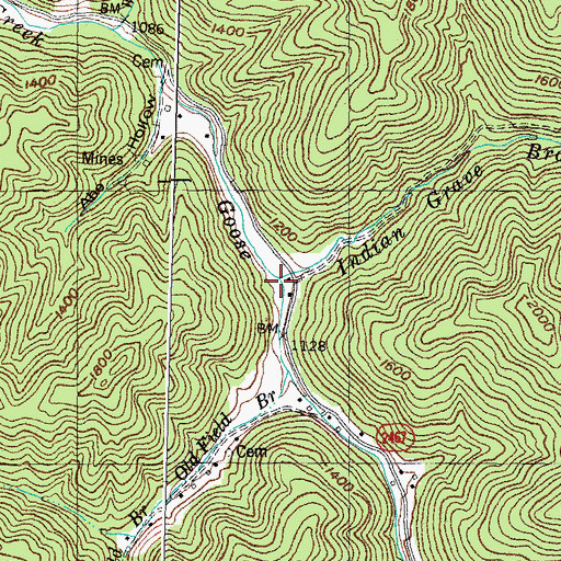 Topographic Map of Indian Grave Branch, KY