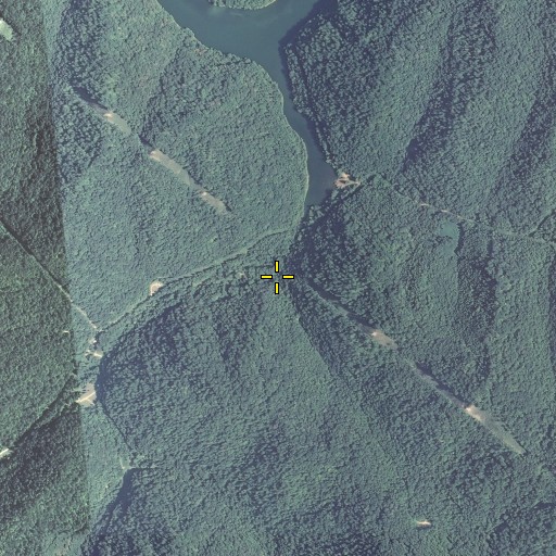 Aerial/Satellite Image of Isaac Fork, KY