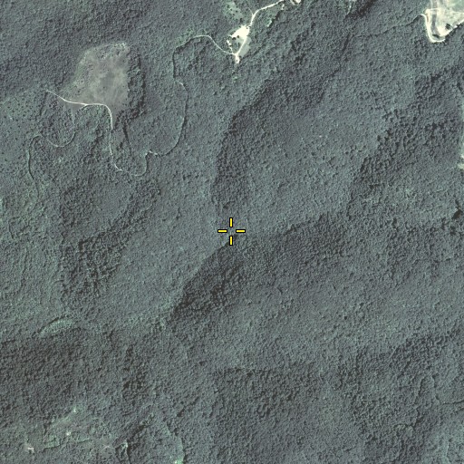 Aerial/Satellite Image of Isham Trace Branch, KY