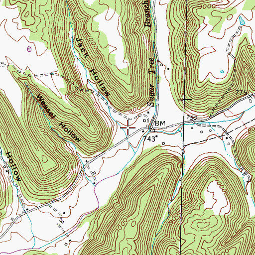 Topographic Map of Jack Hollow, KY