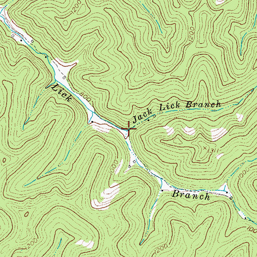 Topographic Map of Jack Lick Branch, KY