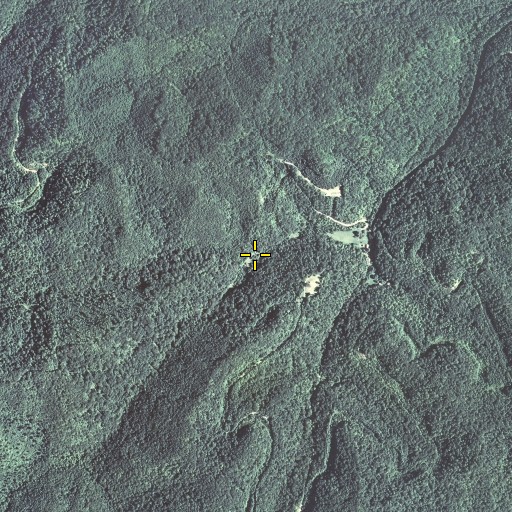 Aerial/Satellite Image of Jacks Fork, KY
