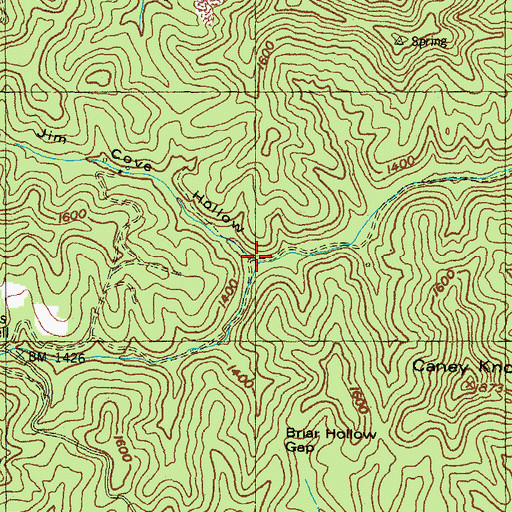 Topographic Map of Jim Cove Hollow, KY