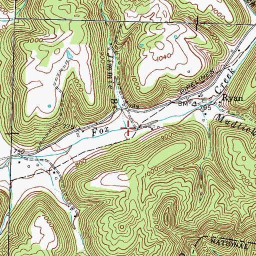 Topographic Map of Jimmie Branch, KY