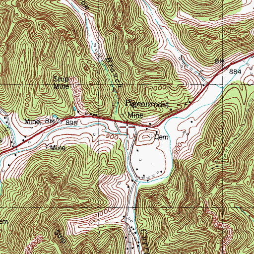 Topographic Map of Johnson Branch, KY