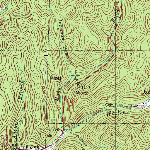 Topographic Map of Johnson Branch, KY