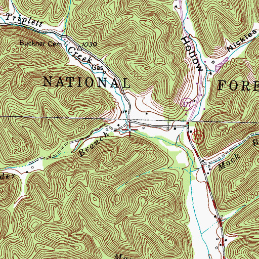Topographic Map of Kinder Branch, KY