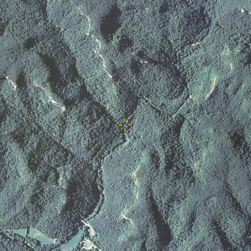 Aerial/Satellite Image of Klaber Branch, KY