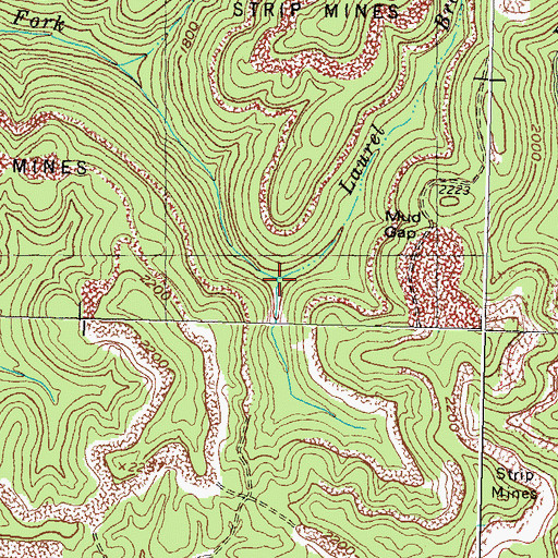 Topographic Map of Laurel Branch, KY