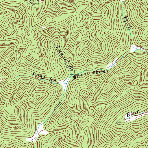 Topographic Map of Laurel Branch, KY