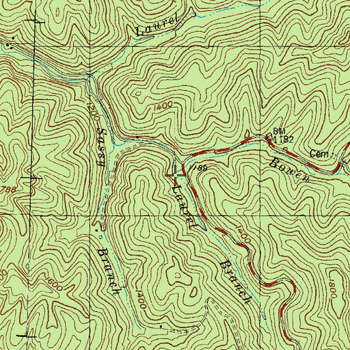 Topographic Map of Laurel Branch, KY