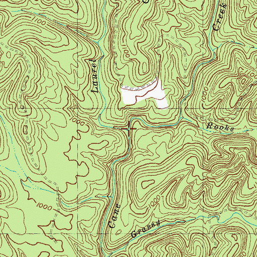 Topographic Map of Laurel Branch, KY