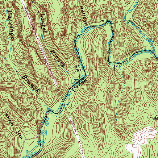Topographic Map of Laurel Branch, KY