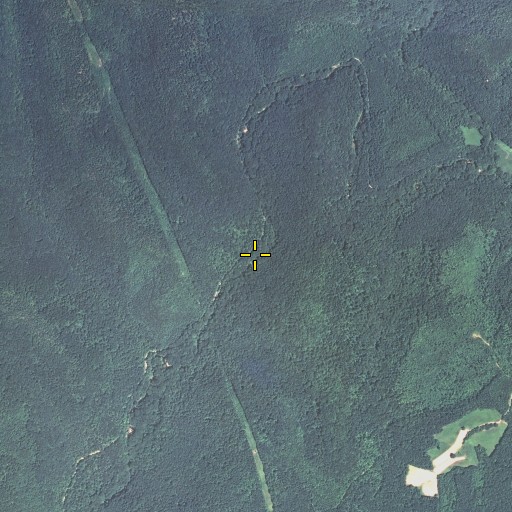 Aerial/Satellite Image of Laurel Branch, KY