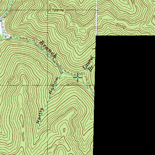 Topographic Map of Laurel Branch, KY