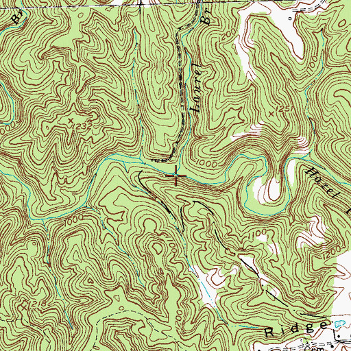 Topographic Map of Laurel Branch, KY