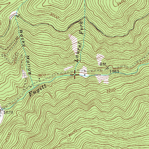 Topographic Map of Laurel Fork, KY