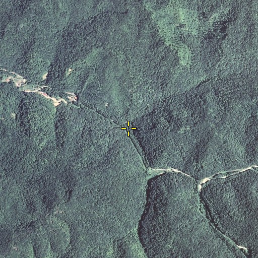 Aerial/Satellite Image of Laurel Fork, KY