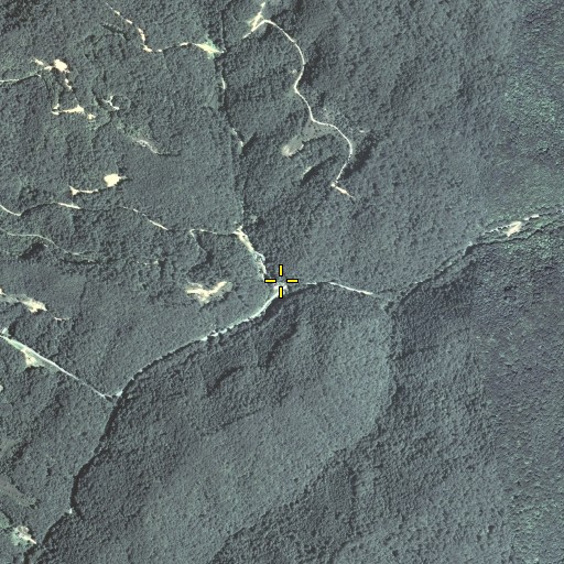Aerial/Satellite Image of Laurel Fork, KY