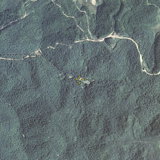 Aerial/Satellite Image of Laurel Fork, KY