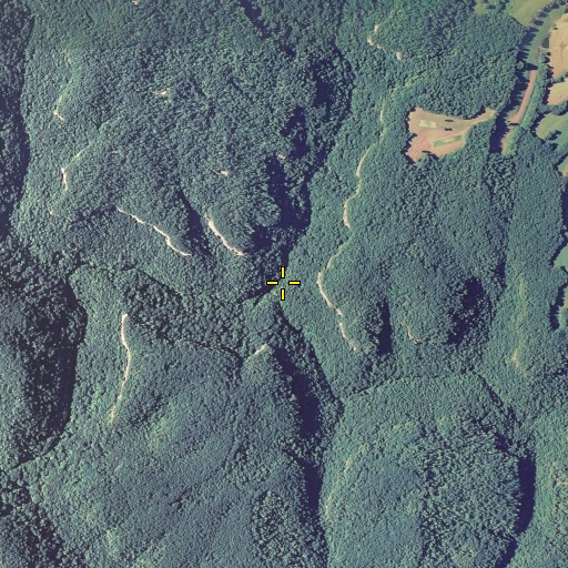 Aerial/Satellite Image of Laurel Fork, KY