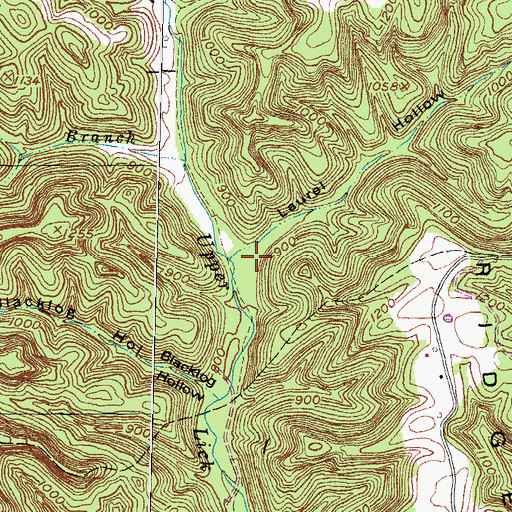 Topographic Map of Laurel Hollow, KY