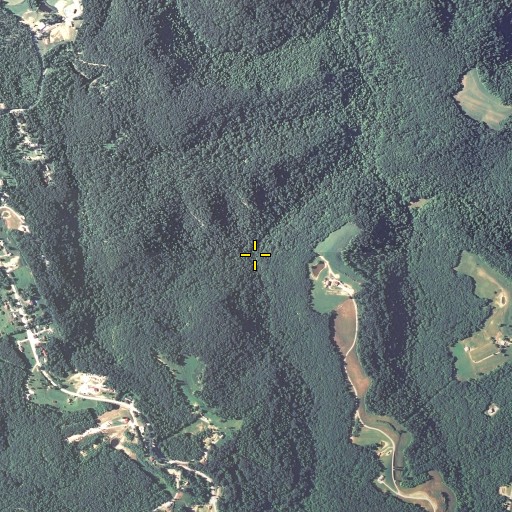 Aerial/Satellite Image of Lawson Branch, KY
