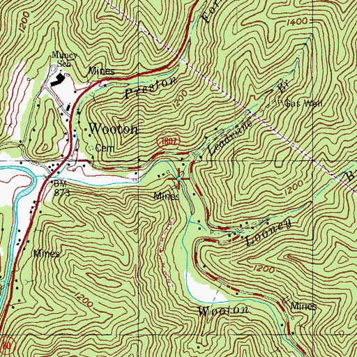 Topographic Map of Leadmine Branch, KY
