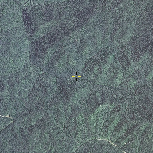 Aerial/Satellite Image of Leffew Branch, KY