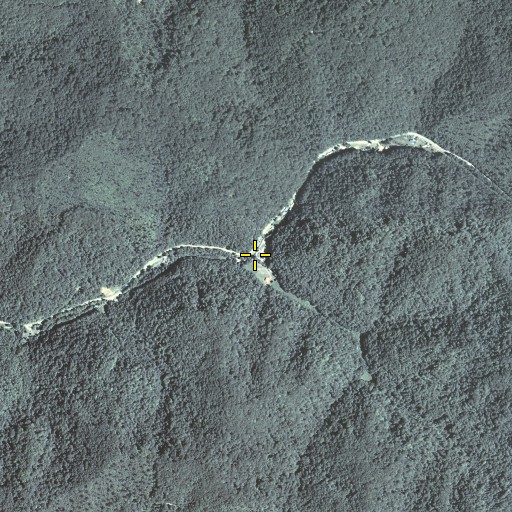 Aerial/Satellite Image of Left Fork Ashers Fork, KY