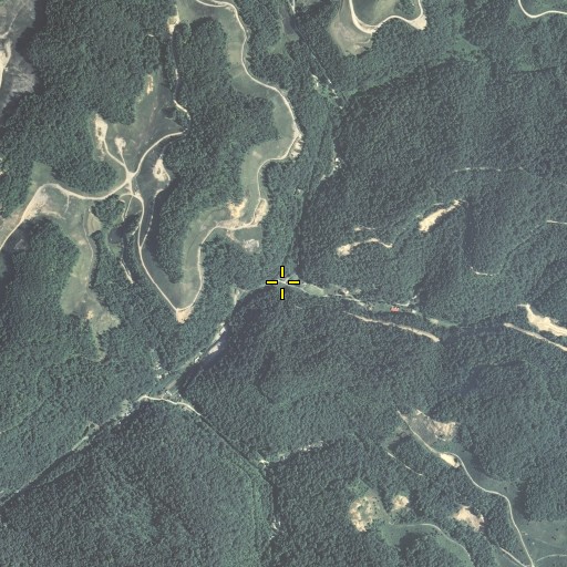 Aerial/Satellite Image of Left Fork Trace Fork, KY