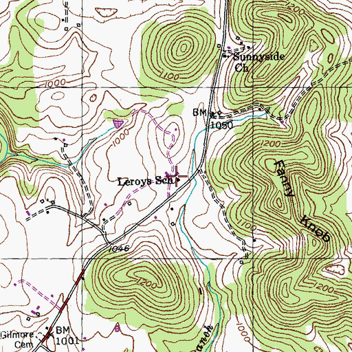 Topographic Map of Leroys School, KY