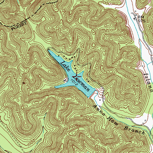 Topographic Map of Lake Lewman, KY