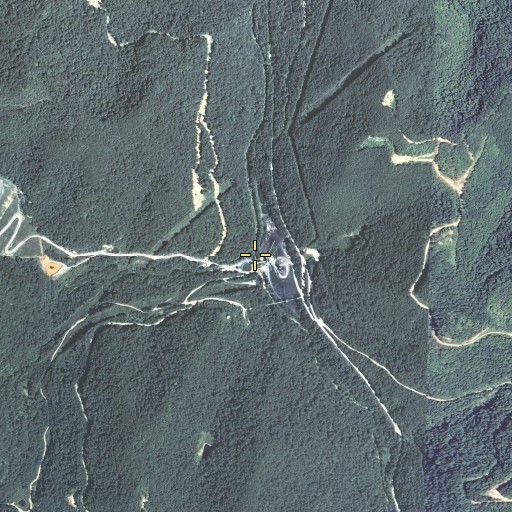 Aerial/Satellite Image of Lick Fork, KY